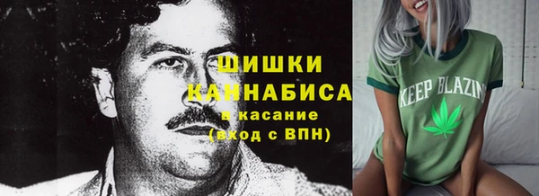 спайс Богородицк