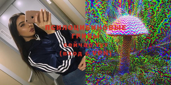 спайс Богородицк
