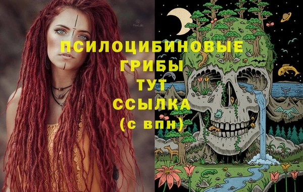 дурь Богданович