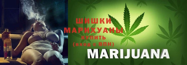 дурь Богданович