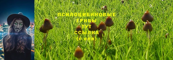 дурь Богданович