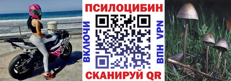Псилоцибиновые грибы Magic Shrooms  Купить где  Тобольск 